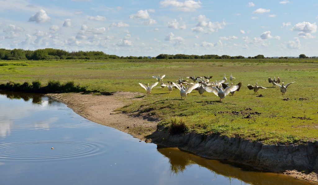 parc naturel